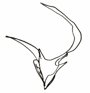 Art & Science Comic Archive